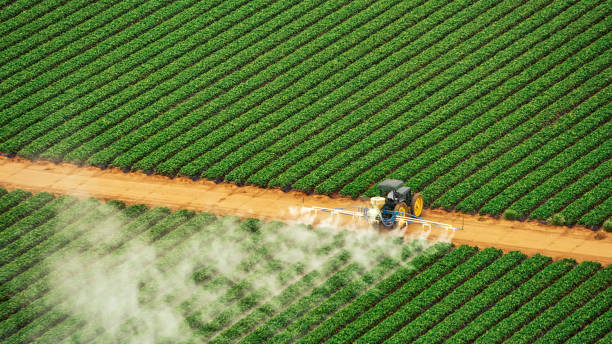 Best Pest Removal Services  in Mccall, ID
